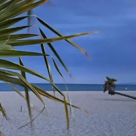 Docked Boat 르발카레스