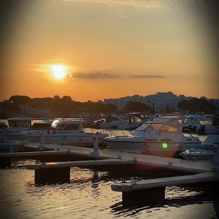 Docked Boat
